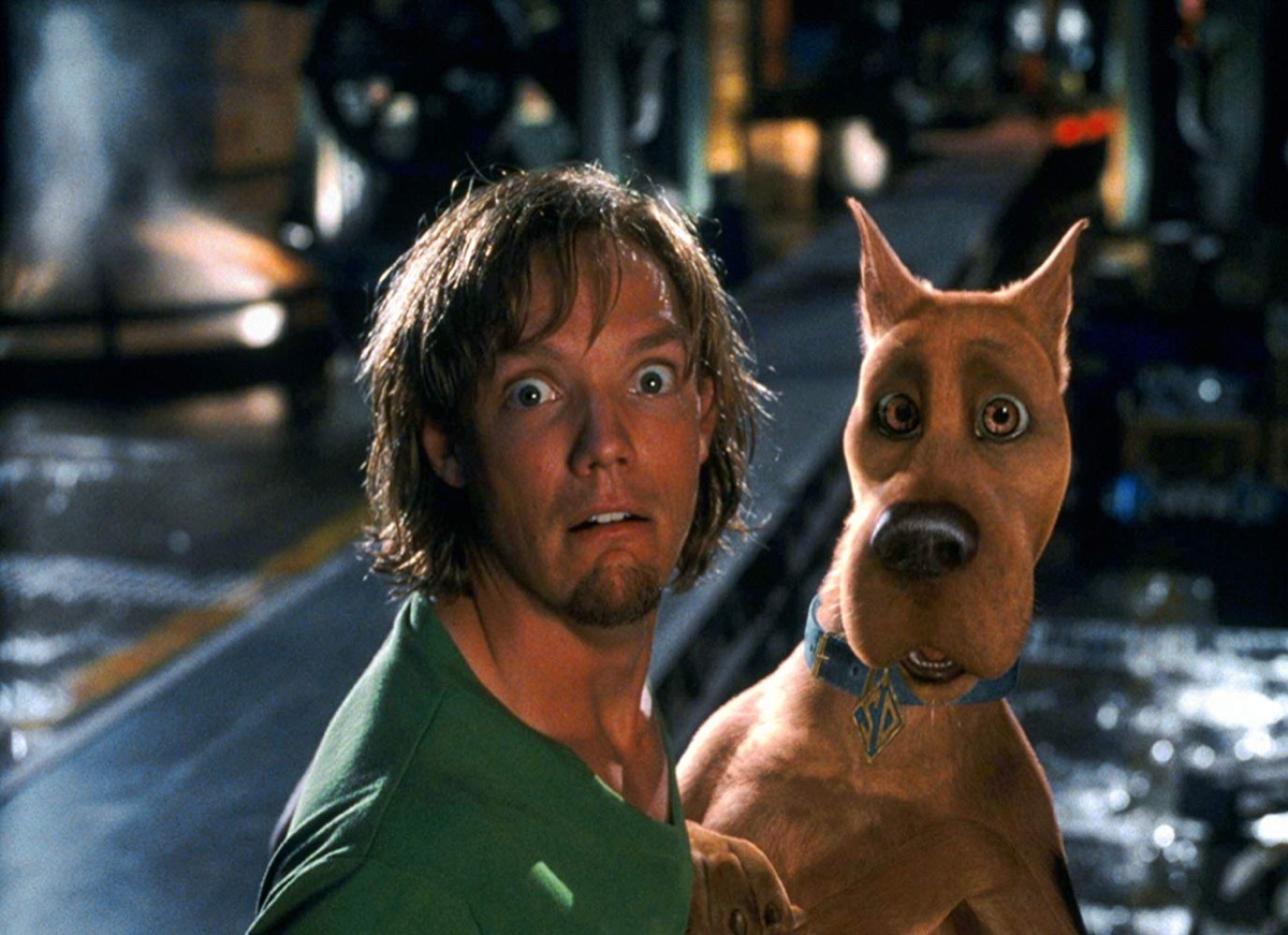 shaggy scooby doo, fictional characters real name