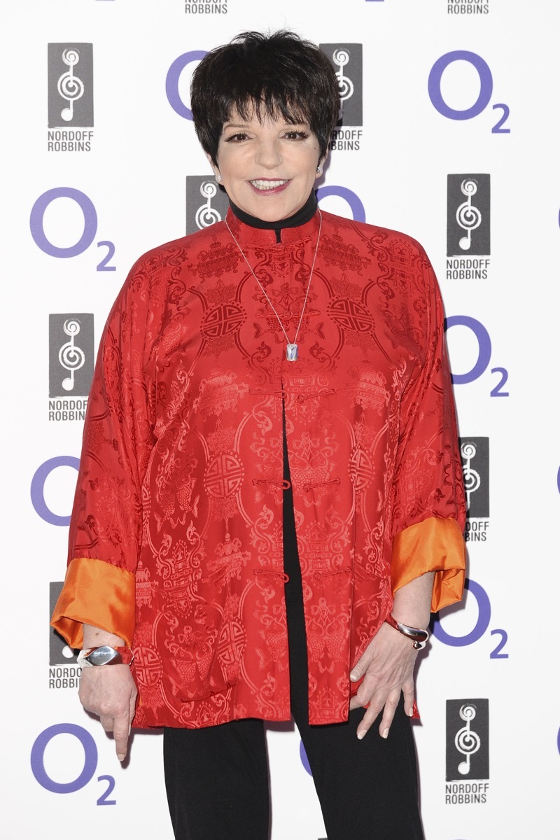Liza Minelli arrives for the Silver Clef Awards 2011 at the Park ane Hilton, London. 01/07/2011 Picture by: Steve Vas / Featureflash - Image