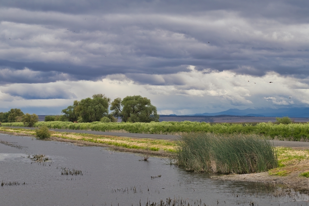 The Lower Klamath River in California