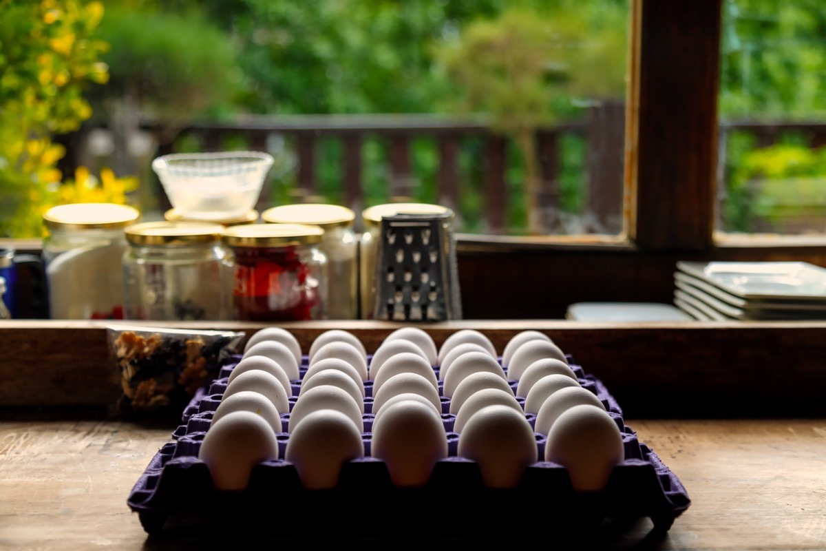 Carton of eggs on counter
