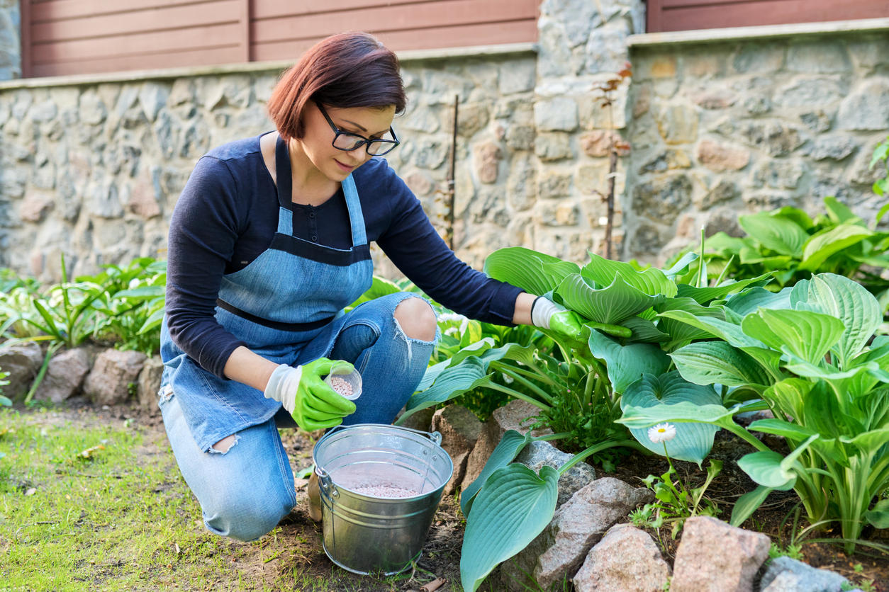 Woman fertilizing flower bed with granulated mineral fertilizers