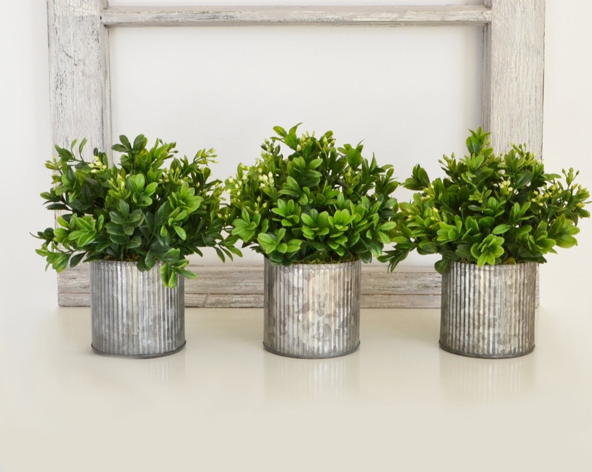 three plants in silver pots, kitchen decorations