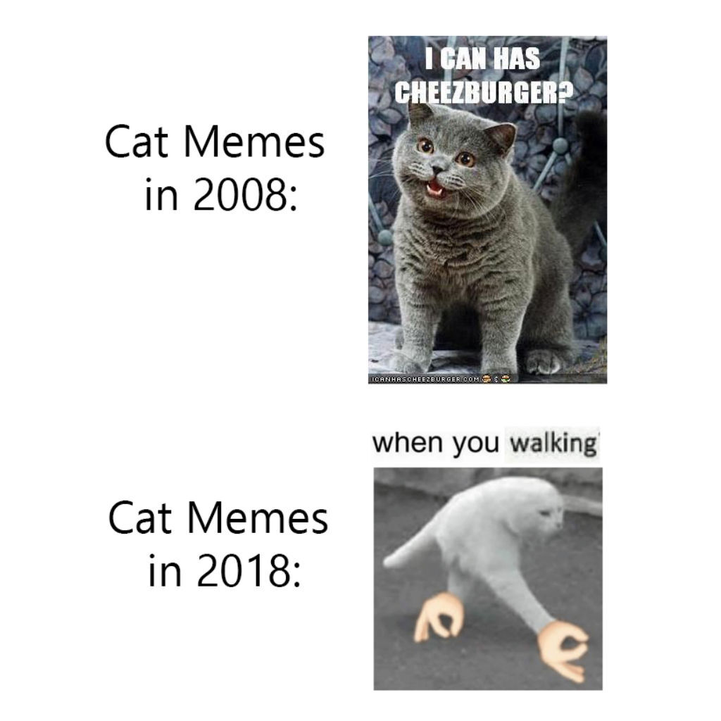 Evolution cat memes