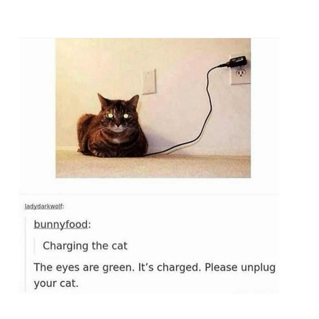 Charging cat memes