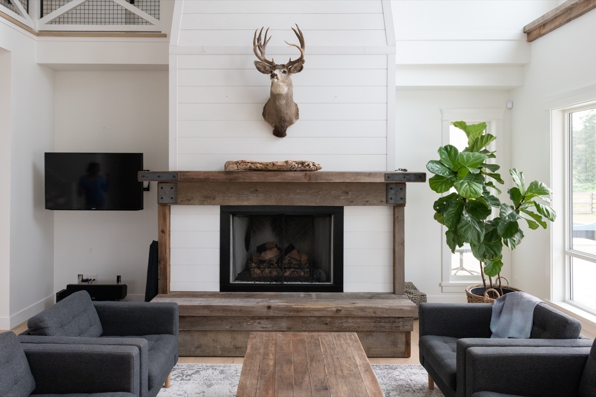 living room with deer head mount and reclaimed wood accents