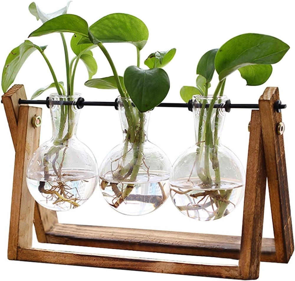 A terrarium stand with three plants