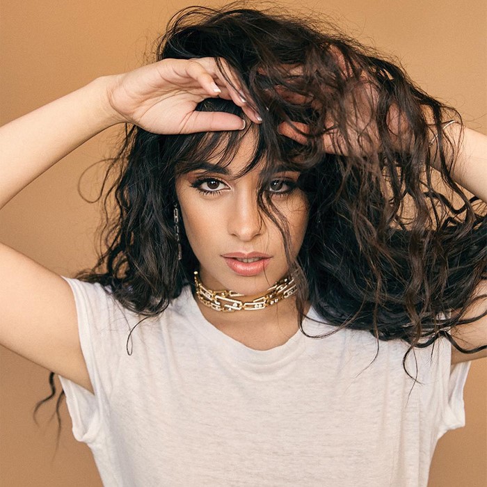 12 million net | 15 Camila Cabello Facts You Didn’t Know About | Her Beauty