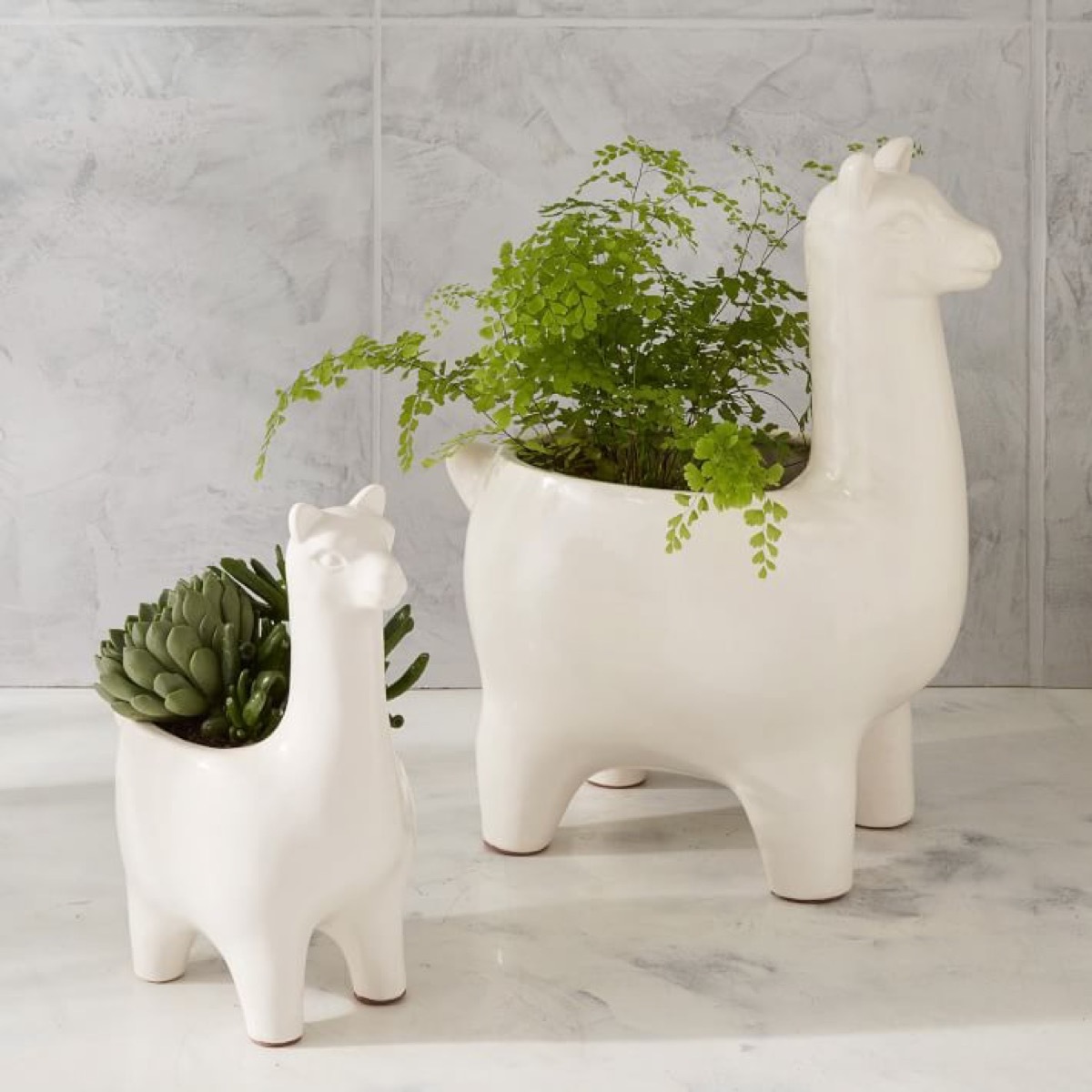 Two sizes of llama planters with plants