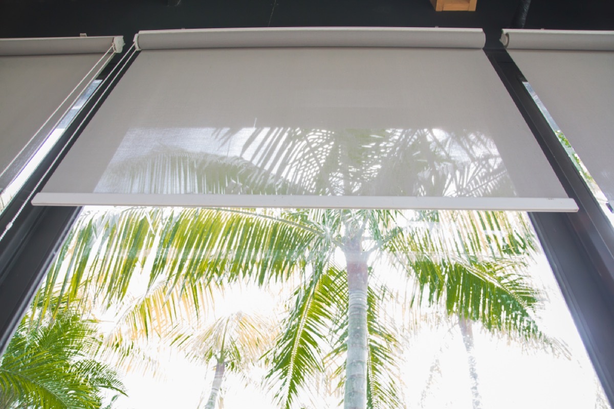 white shades on window in front of palm trees