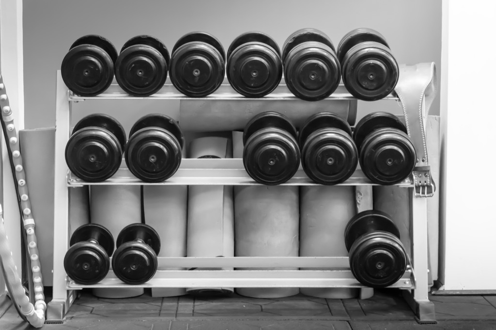 dumbbells on a weight rack