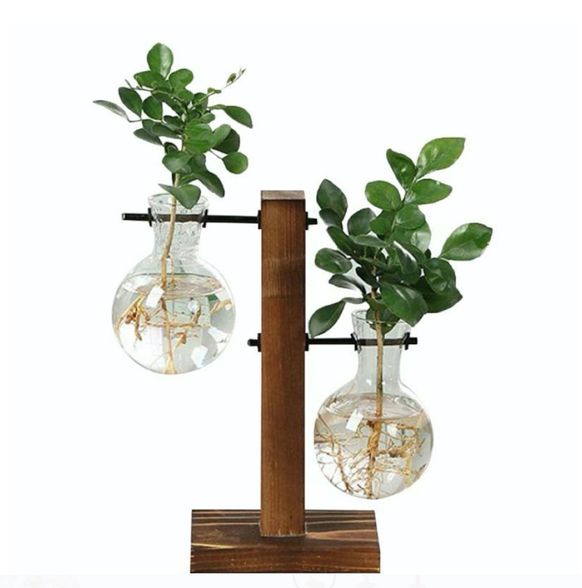 two glass vial vases in wooden stand