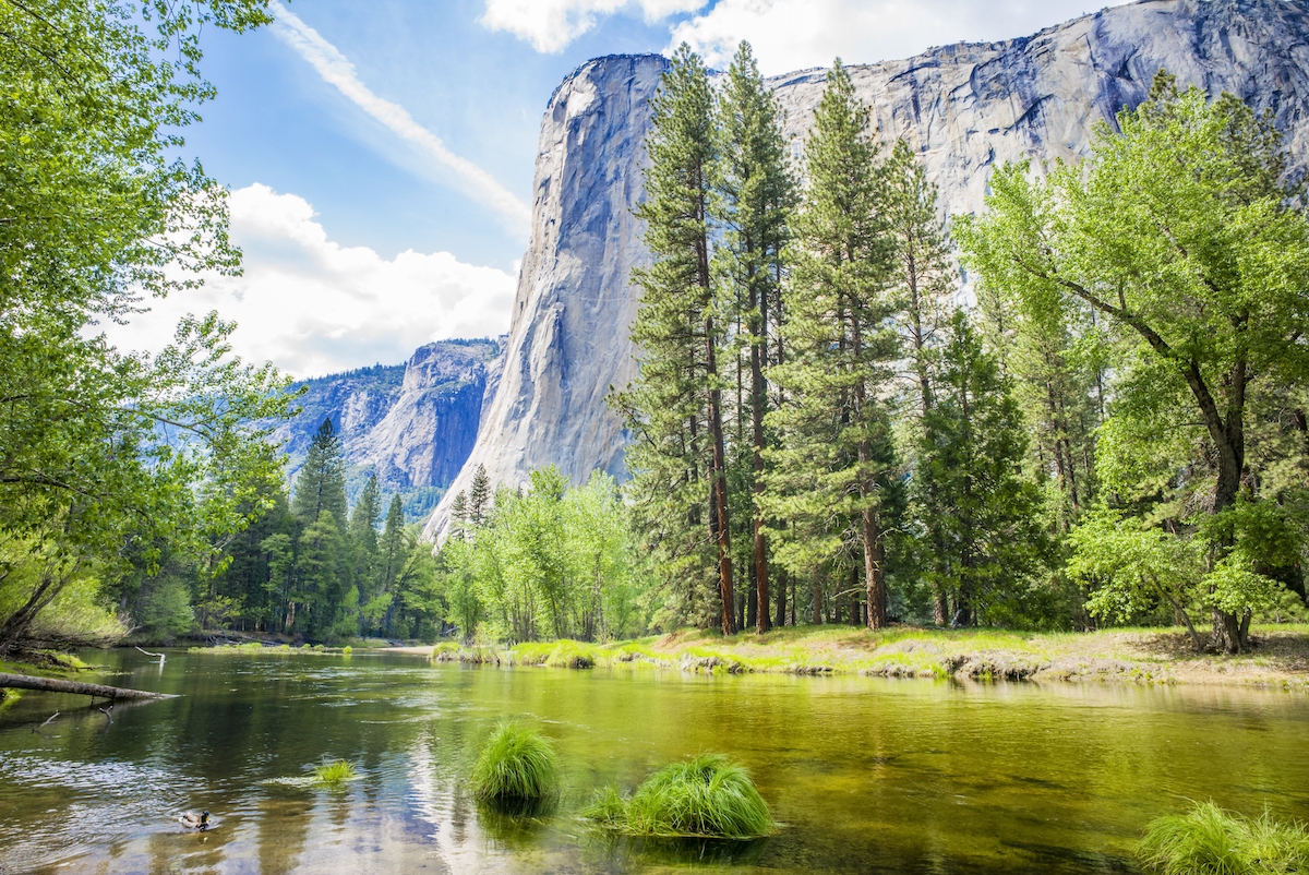 Cathedral Beach along the Merced River in Yosemite National Park, with El Capitan in the distance