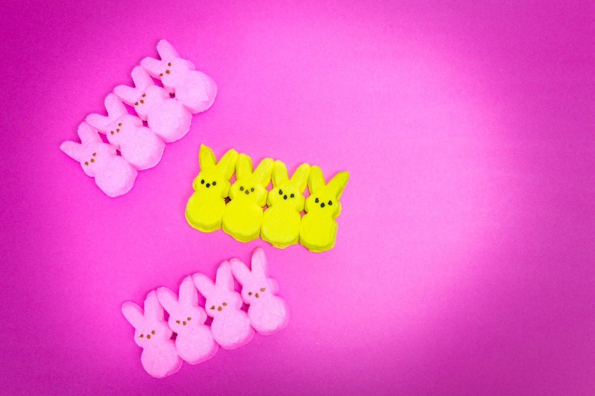 easter peeps candy in a row