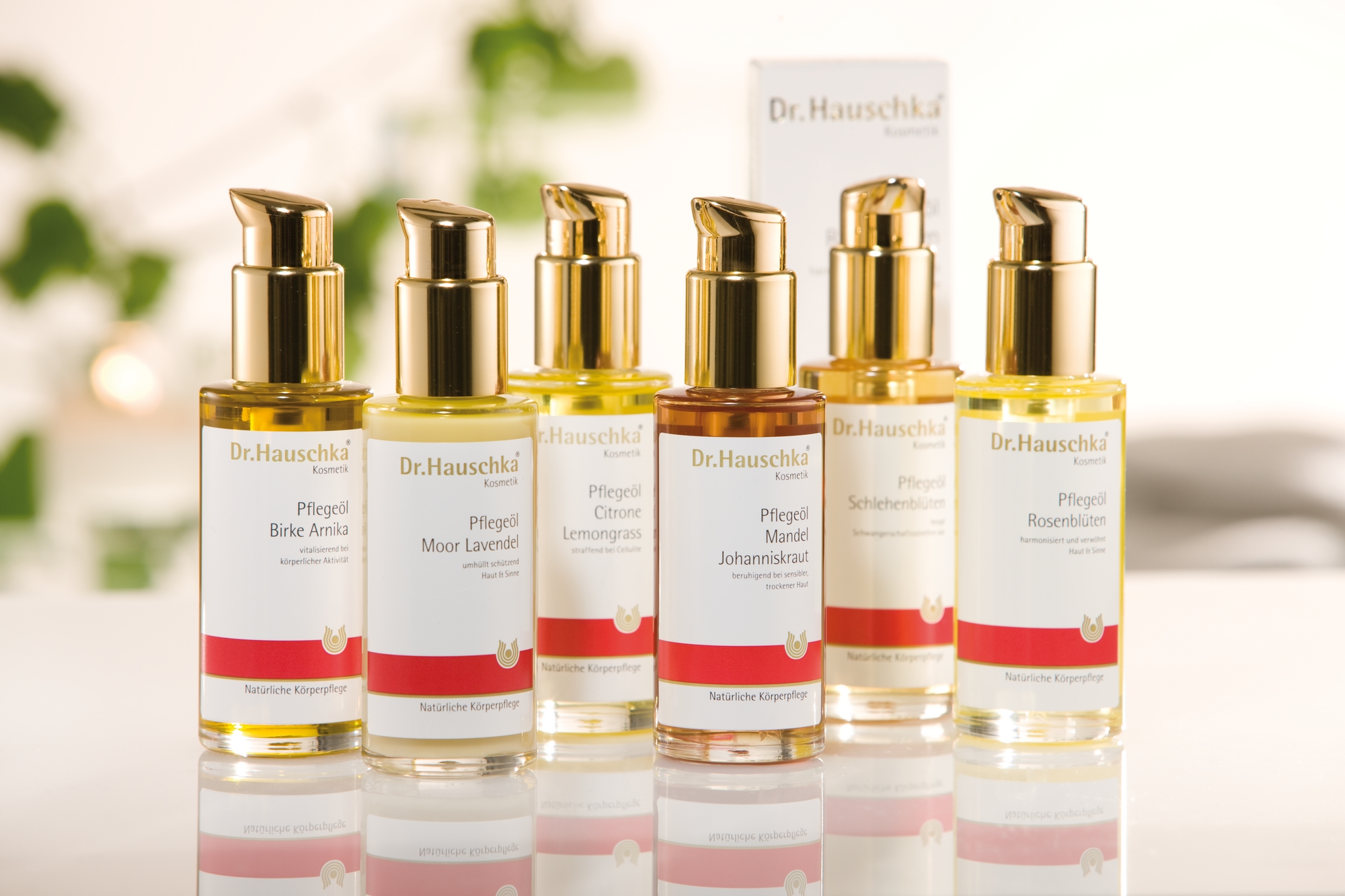 Best Natural Skin Care Brands - Dr. Hauschka