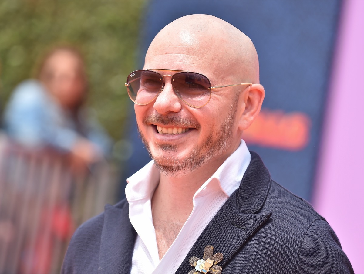 Pitbull at the premiere of 'Ugly Dolls' in 2019