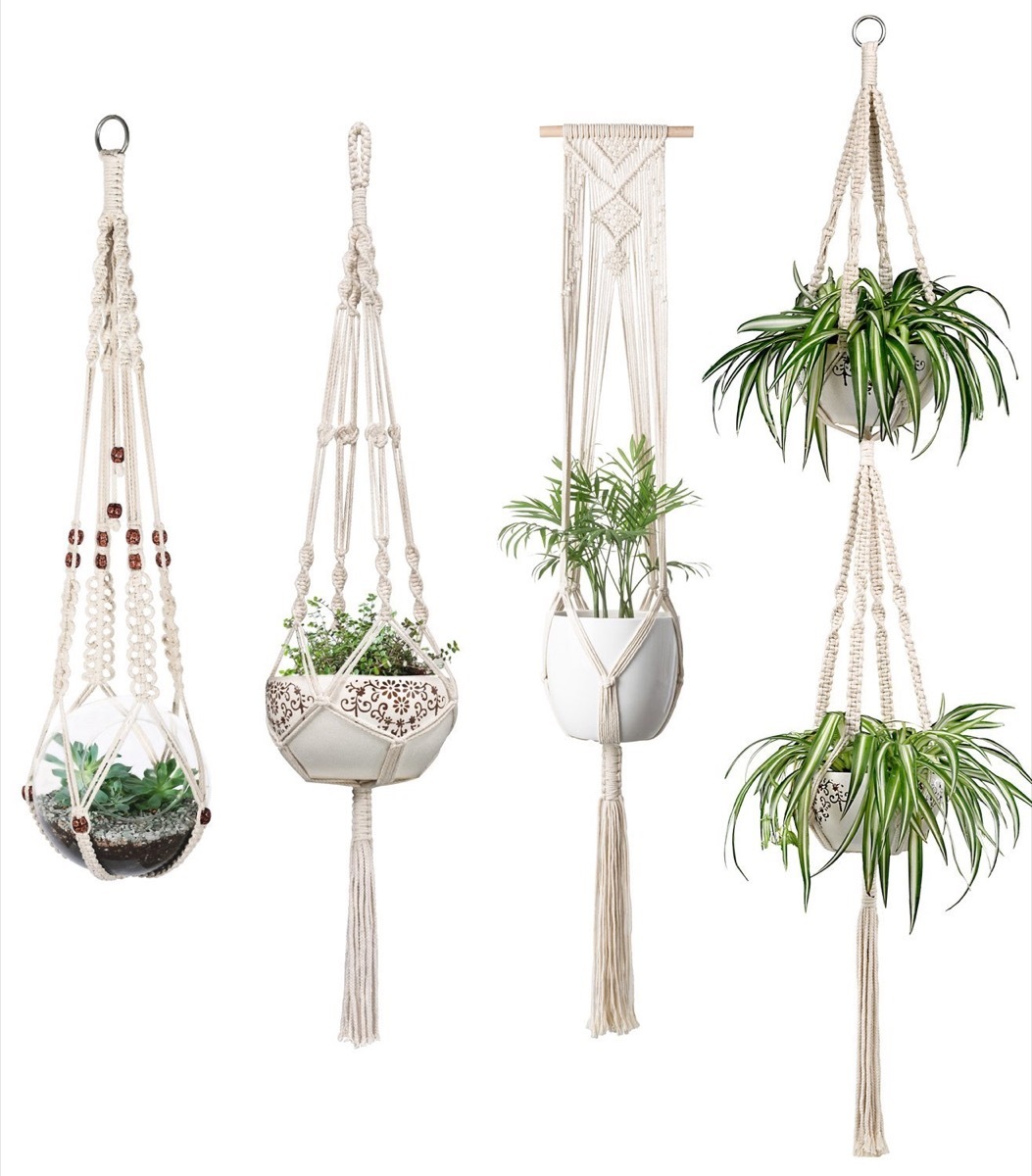 five macrame plant holders with plants