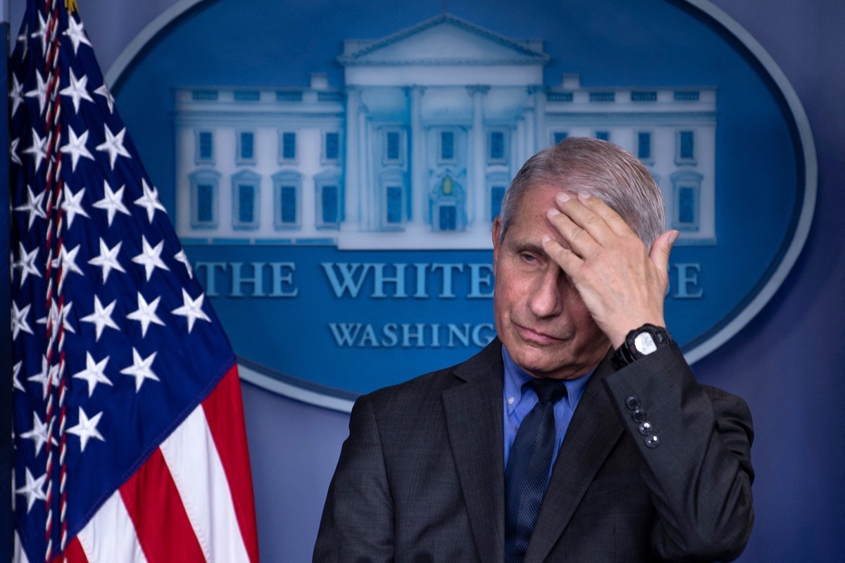 dr. fauci standing in the white house, touching his head