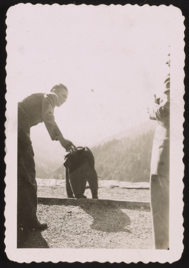 a man pets a bear