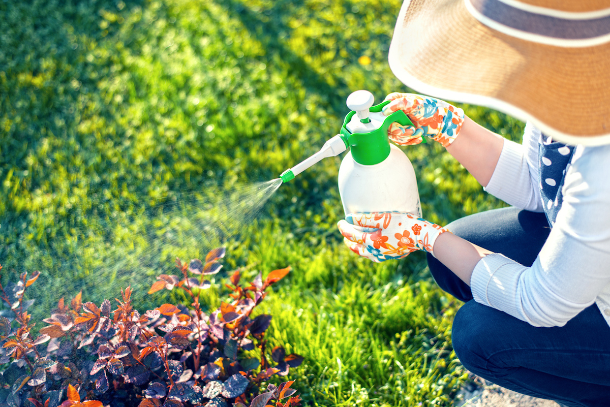 Woman spraying flowers in the garden