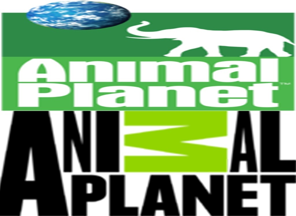 Animal Planet worst logo redesign