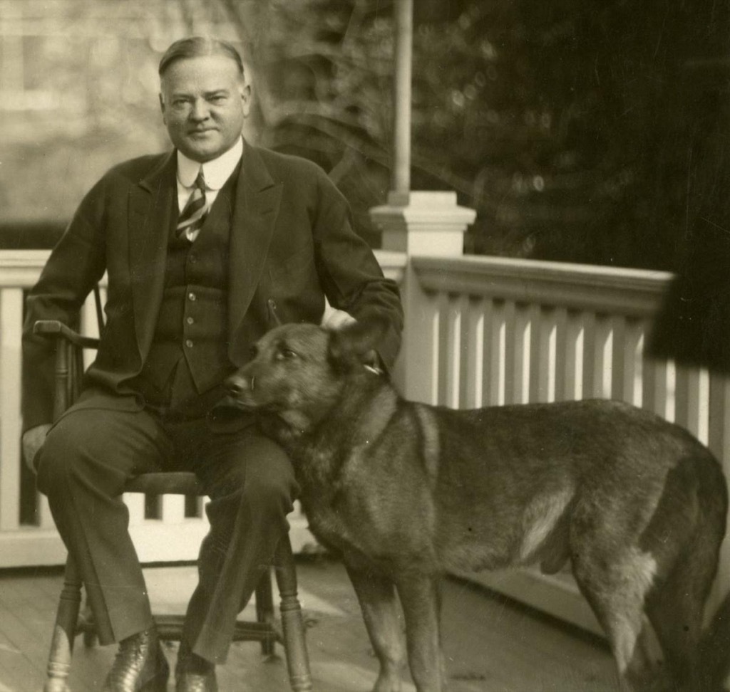 Herbert Hoover's dog, King Tut