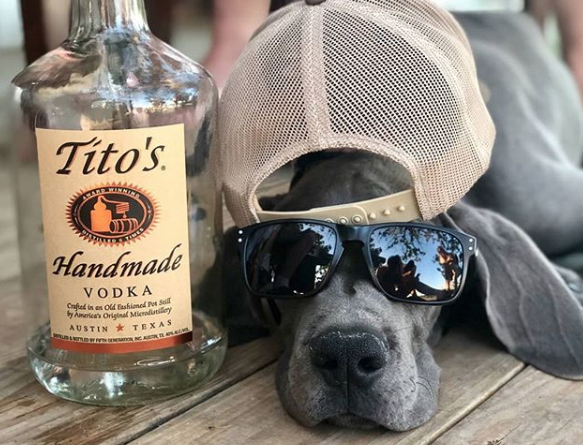 Tito's Handmade Vodka pet-friendly companies