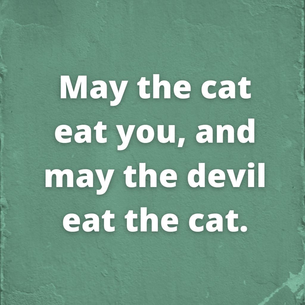 May the cat eat you, and may the devil eat the cat—Irish saying