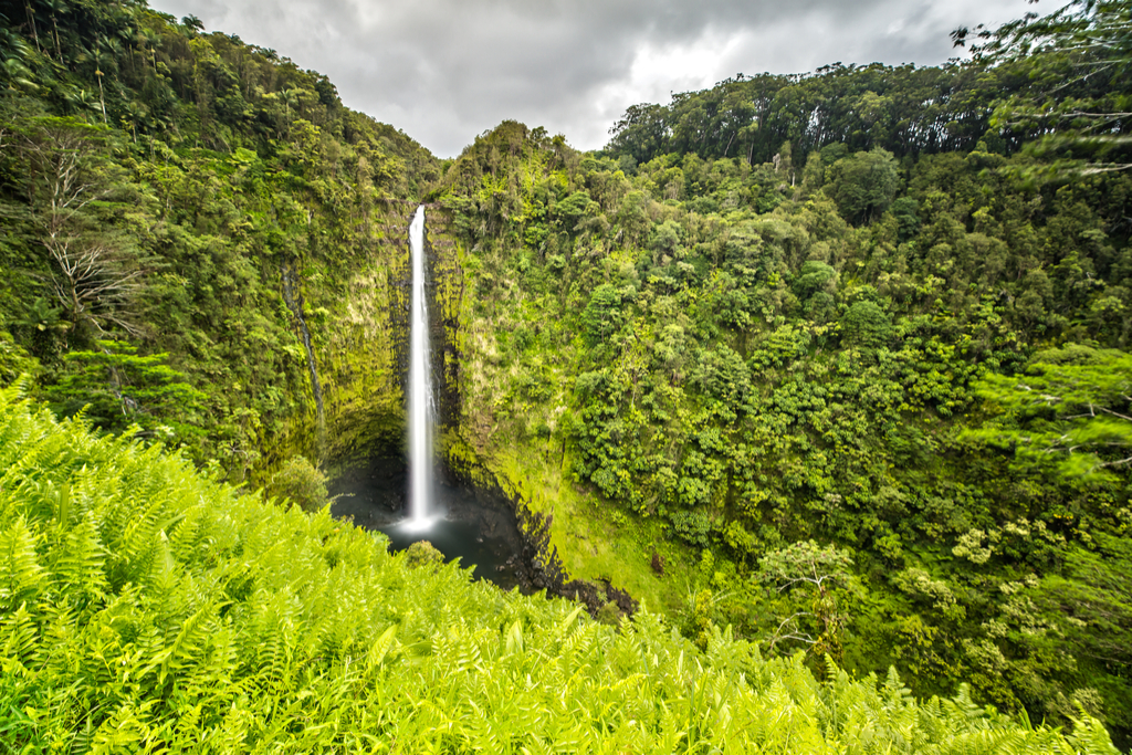 Akaka Falls Hawaii Waterfalls