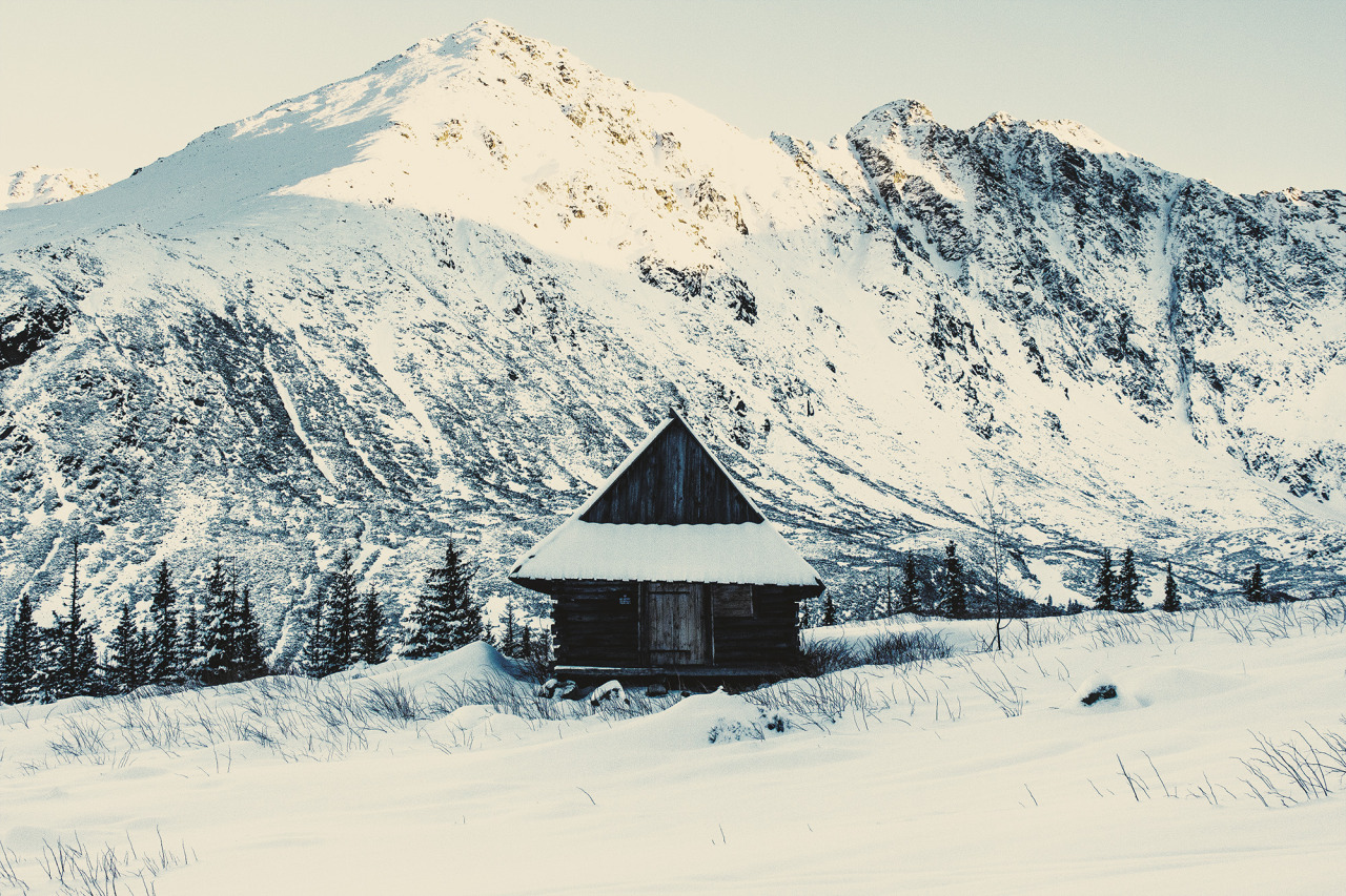 stunningly-dreamy-remote -cabins-in-the-middle-of-nowhere-10