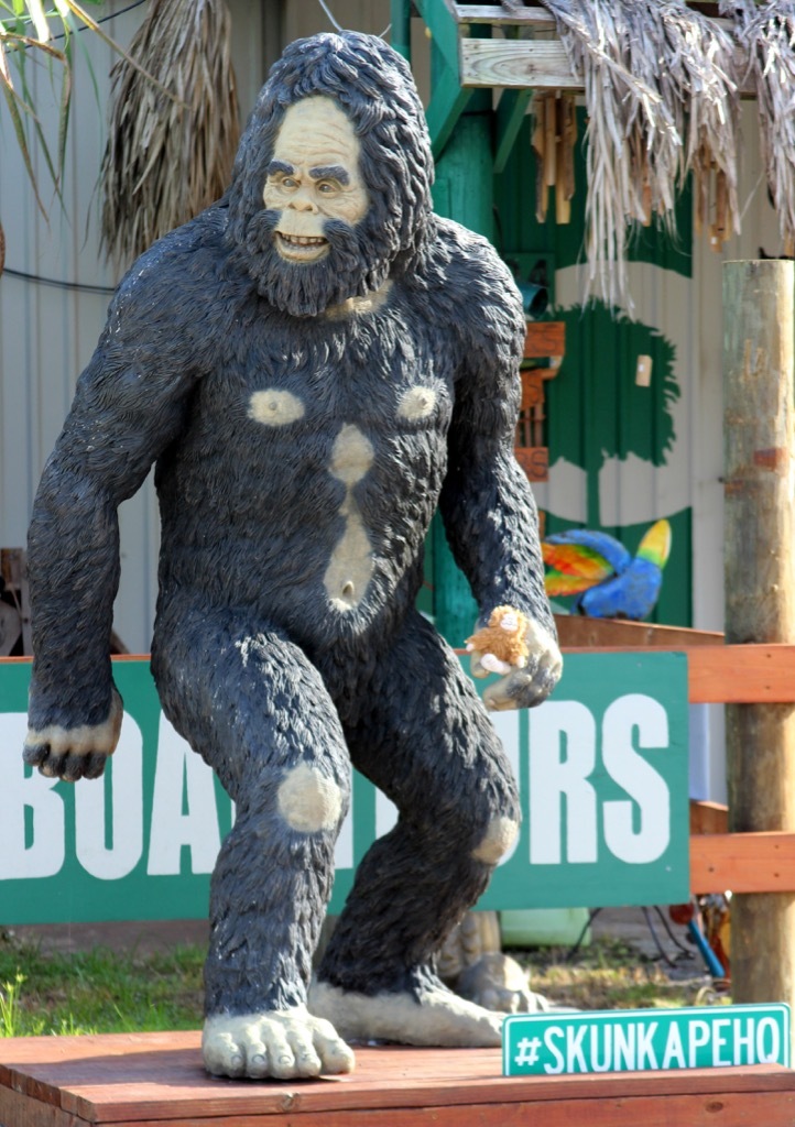 florida skunk ape weirdest urban legends every state