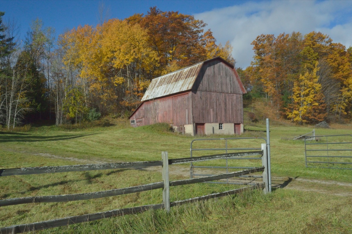 Old Barn, Harrisville Michigan - Image