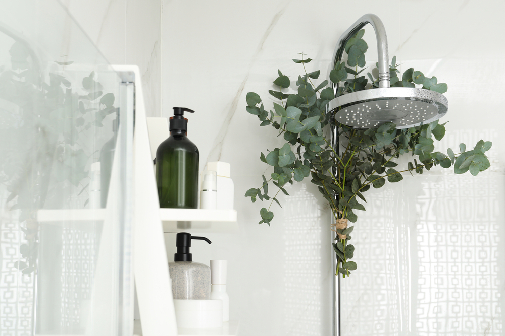 Eucalyptus branches hanging from shower head