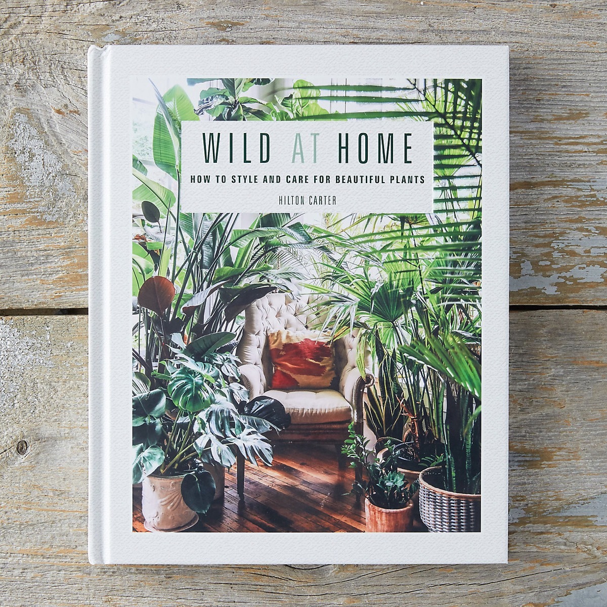 Wild at Home book on wood background