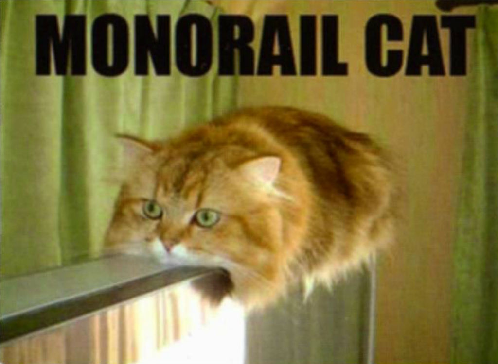 Monorail cat memes